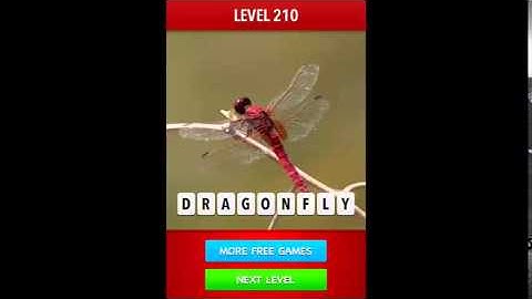 Zoom! - Magnified Pics Levels 200-231.mp4