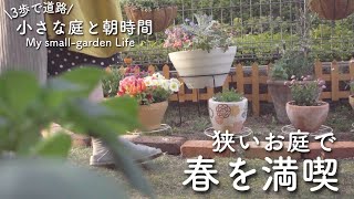 ガーデニング 狭い庭にペチュニアをお迎えしました 小さい庭のハンギング ブロック塀の目隠し にんじんの種まき 家庭菜園 Small Garden Gardening Youtube ガーデニング 狭い庭にペチュニアをお迎えしました 小さい庭のハンギング ブロック塀の目隠し にんじんの種まき 家庭菜園 Small Garden Gardening Youtube