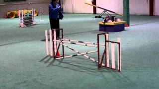 2012-01-29 Diane-Keen STD.AVI