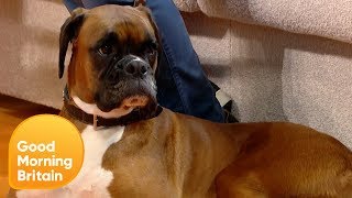 Would You Ever Clone Your Dog? | Good Morning Britain