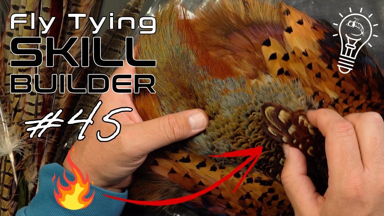 These Uncommon Pheasant Feathers Tie Beautiful Flies! | Fly Tying Skill Builder #45