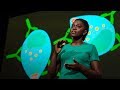 The key to a better malaria vaccine | Faith Osier