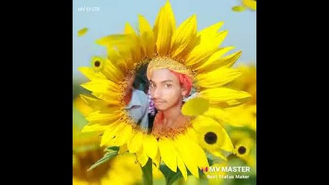 Ashish jaiswal maura