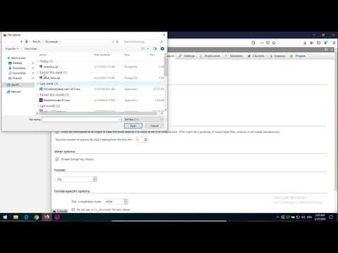 How to export import database