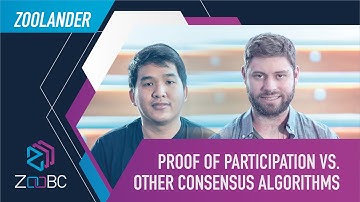 The Zoolanders: Proof of Participation VS. Other Consensus Algorithms