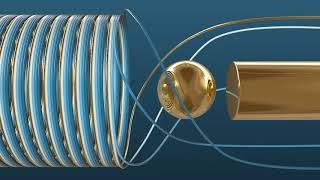 Study of Spiral Roll Animation | Cinema 4D Lite screenshot 5