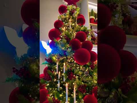 Marry Christmas #marry