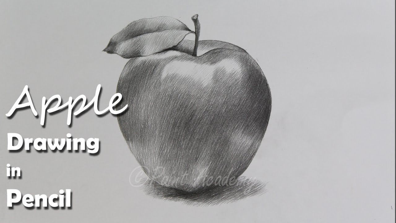 sketch of an apple by tqone on DeviantArt