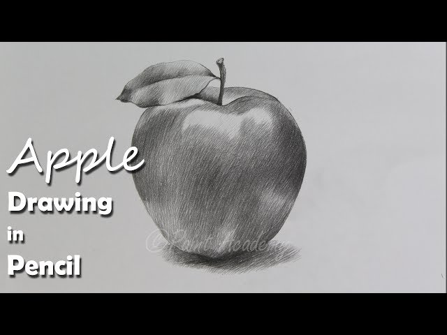 Apple(object drawing) | Pencil shading, Object drawing, Art gallery