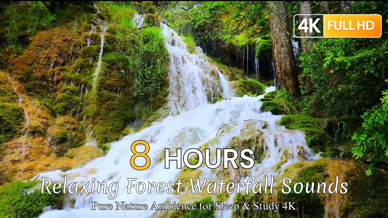 8 Hours Relaxing Forest Waterfall Sounds 🌿 Pure Nature Ambience for Sleep & Study 4K