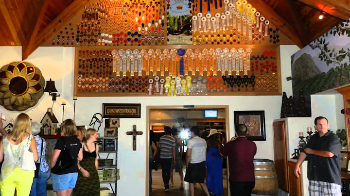 "Spending a day at Temecula Wineries"