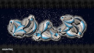 Five Fingers 5本指 Max04