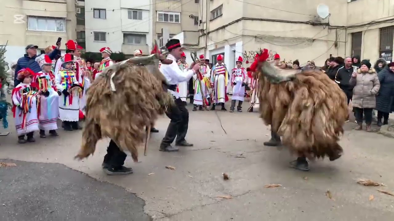 21-12-2025-Caprele de la Broscăuți ❤️💃🎻🥳Botoșani 