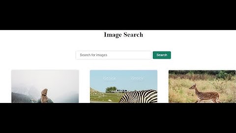 Part #02  Image Searching Application using HTML, CSS & JAVASCRIPT