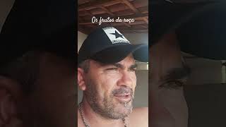 hashtag roça mostrando as frutas da roça hashtag agronomia mostrando quiabo milho verde maxixe