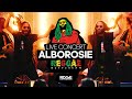 Capture de la vidéo Experience The Ultimate Reggae Vibe With Alborosie At Reggae Rotterdam Festival 2022