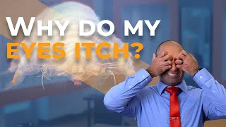 Why Do My Eyes Itch Demodex Parasite And Dry Eye Symptoms