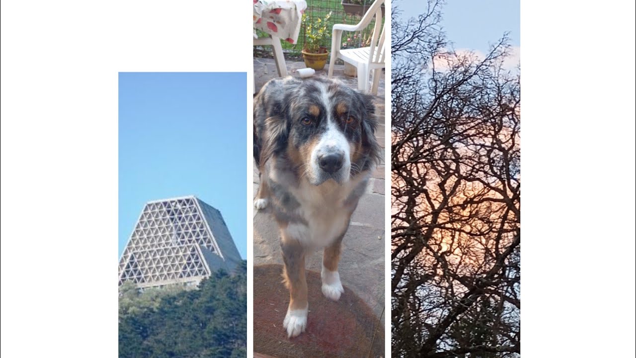 Montegrisa : una bella passeggiata e poi un po' di giardinaggio