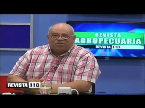 ayer productions vs capulong Revista 110 08 06 19 Agropecuaria Ing Eduardo Quezada