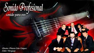 Video thumbnail of "Sonido Profesional - El Tren Del Olvido | Cumbia 2011"