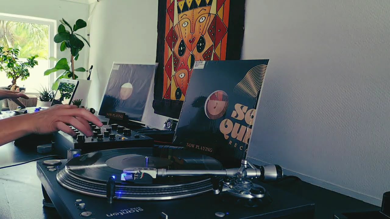 Feb 2026 Vinyl Mix #deephousefamily #deephouse  #rotarymixer