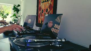 Feb 2026 Vinyl Mix #deephousefamily #deephouse  #rotarymixer