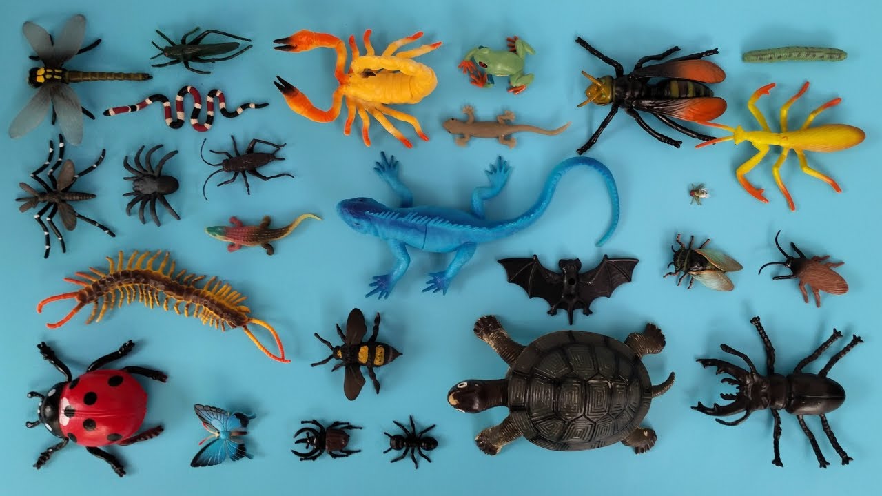 Suara Serangga dan Reptil, Belalang, Kumbang, Jangkrik, Cicak, Tonggeret, Kura-Kura, Cicak, Lalat