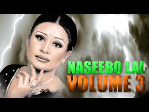 Dil Taan Pagal Hai - Naseebo Lal - Audio