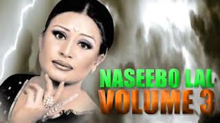 Dil Taan Pagal Hai - Naseebo Lal - Audio
