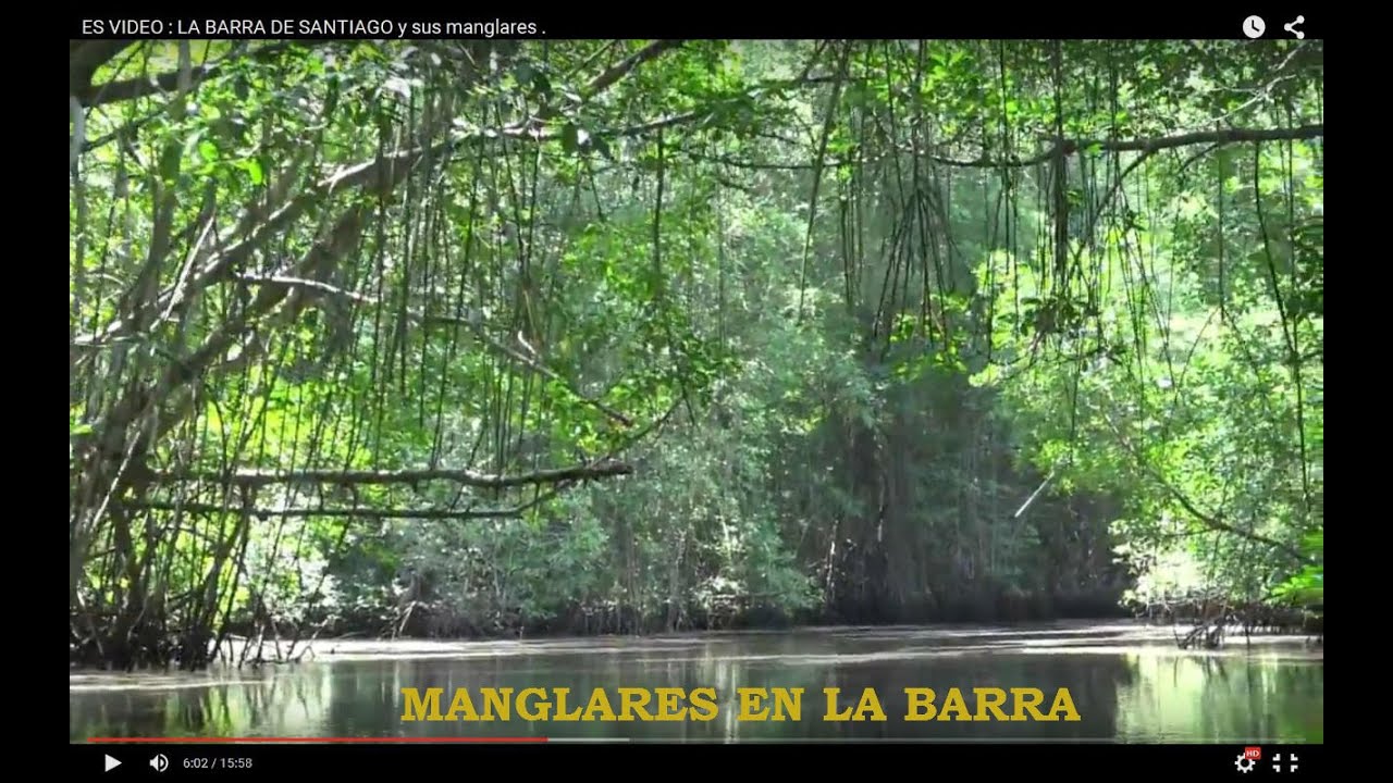 LA BARRA DE SANTIAGO y sus manglares , AHUACHAPAN, EL SALVADOR . - YouTube