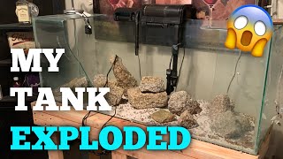MY FISH TANK EXPLODED FILLED WITH FISH (Horror story)