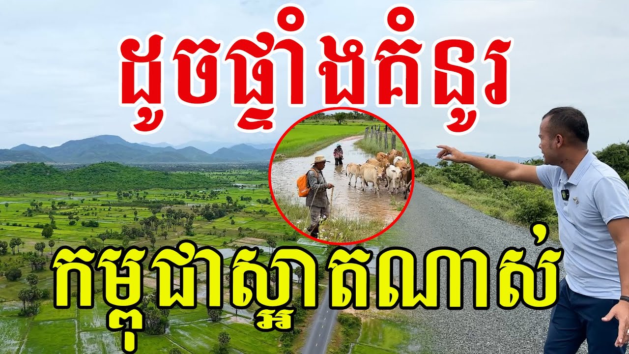 ដូចផ្ទាំងគំនូរ​ សម្រស់កម្ពុជាស្អាតណាស់​ នឹកគ្រាកន្លងកាលនៅក្មេងៗ