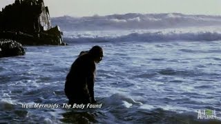 Download Lagu Uncovering the Aquatic Ape Theory | Mermaids MP3