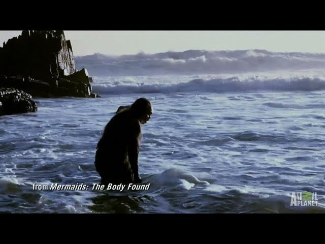 Uncovering the Aquatic Ape Theory | Mermaids - YouTube