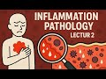 AUCOM34 Pathology #4: Inflammation Part-2
