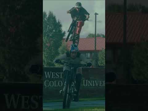 Not Your Average Campus Tour