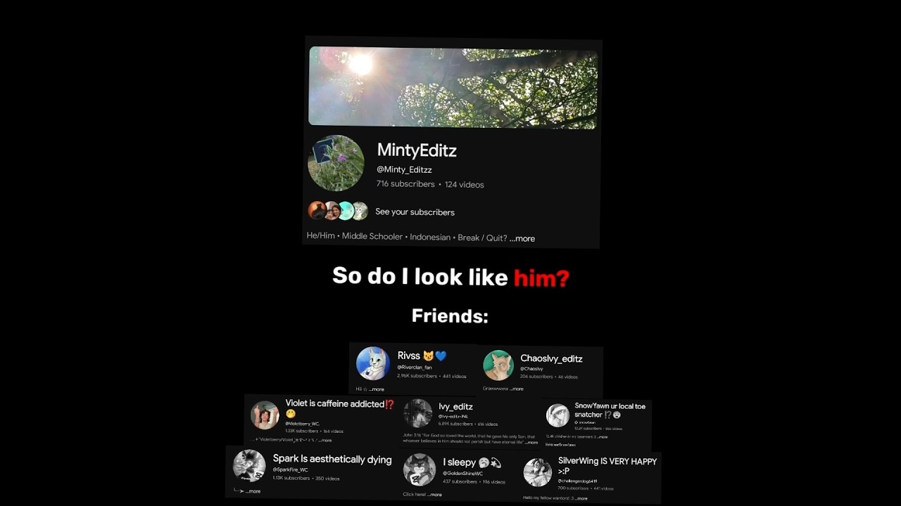 "2025 vs 2026" ahh edit🥀 - #alightmotion #capcut #edit #warriorcats