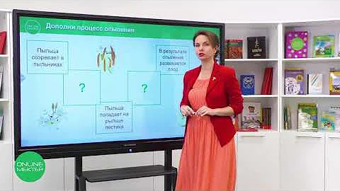 4 класс. Естествознание. 5 урок. Как образуются семена?