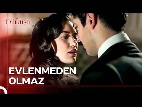 Sana Dayanamıyorum Diyorum Anlamıyor Musun? 🔥 | Çalıkuşu
