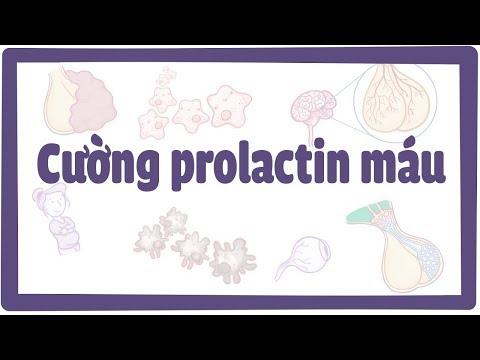 Video: 4 cách để giảm mức Prolactin