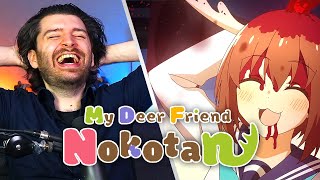 WTF DID I JUST WATCH???🤣 My Deer Friend Nokotan Episode 1 Reaction