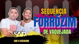 PLAYBACK SEQUÊNCIA FORRÓZIM DE VAQUEJADA