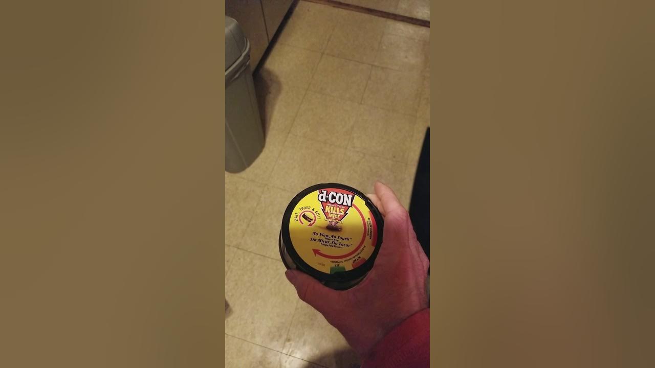 Review of d con mouse trap YouTube
