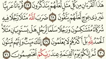 ماتيسر من سورة الزمر 22 - 31للقارئ / سعد ضاحي الرويلي
