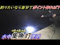 ｢神回アジング｣天然の釣り堀爆誕！業務用集魚灯を使って釣りしてみたら普通に戻れない・・・
