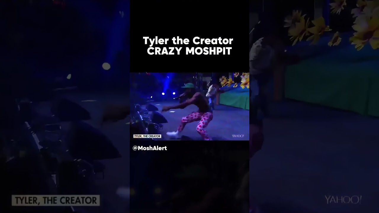 Who has seen Tyler the Creator before? 