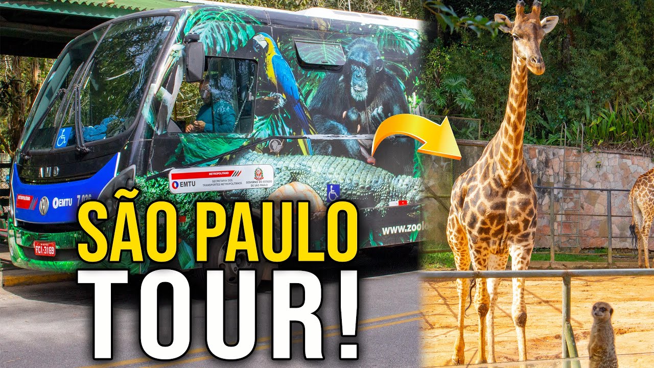 Walking São Paulo: Estação Jabaquara ao Zoológico de São Paulo