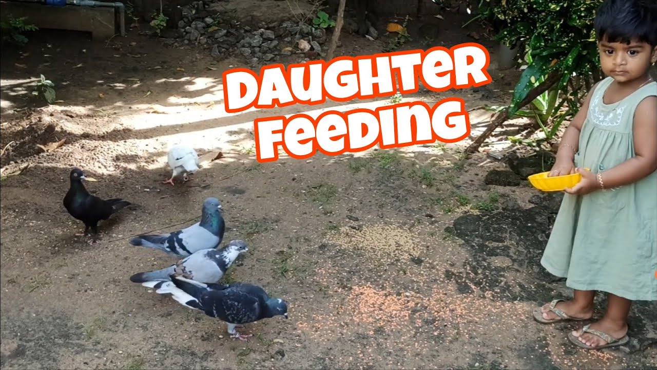 Our Daughter Feeding to pigeons 