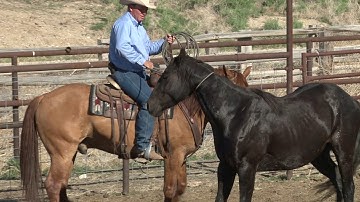 Ken McNabb: Colt Starting (Part 1 of 7) - First Touch