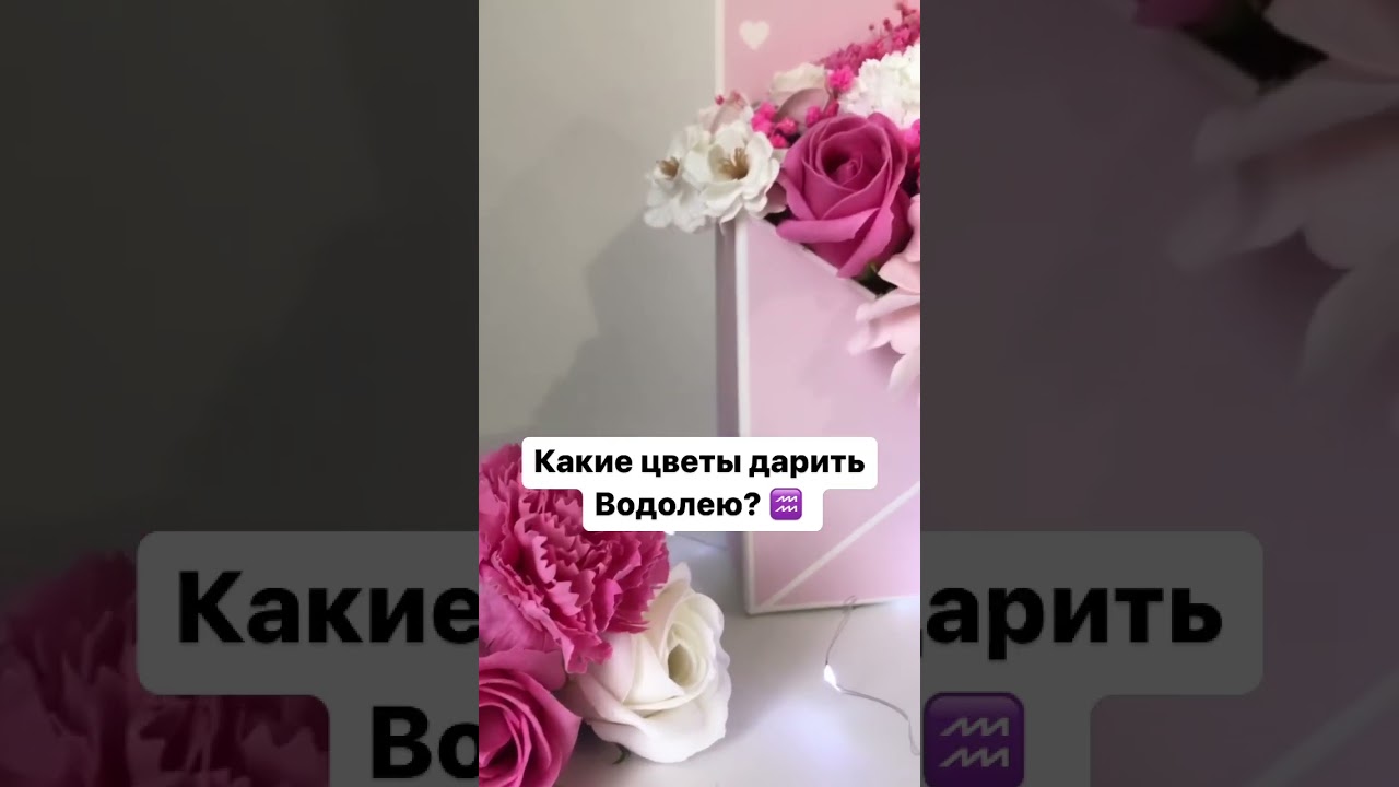 Открывай описание и узнаешь, какие цветы любят водолеи ☺️ А если ты водолей, пиши какие любишь ты ?